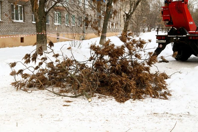 Источник: st.cherinfo.ru