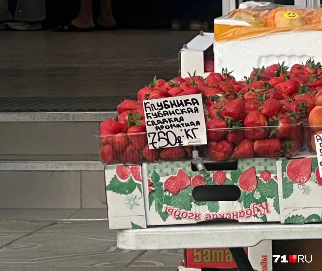 На рынках можно купить ягоду только в таких лоточках | Источник: Виктория Денисова / 71.RU
