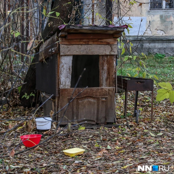 Подобие будки в одном из дворов | Источник: Наталья Бурухина / NN.RU