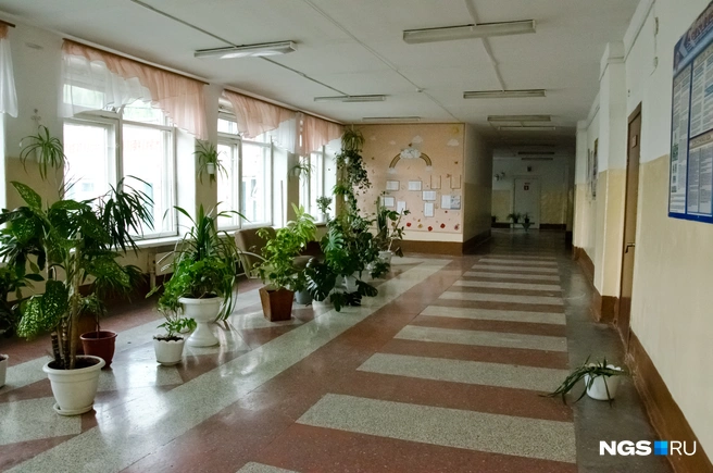 Теперь узнать зарплату руководителей учреждений можно только при определенных условиях | Источник: Анна Золотова / NGS.RU