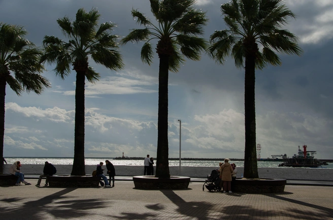 Победа в конкурсе может повлиять на цены в сторону увеличения  | Источник: Оксана Витязь