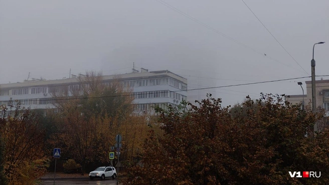 Здание прячется в тумане, видны лишь очертания, хотя оно совсем не далеко | Источник: читатель V1.RU
