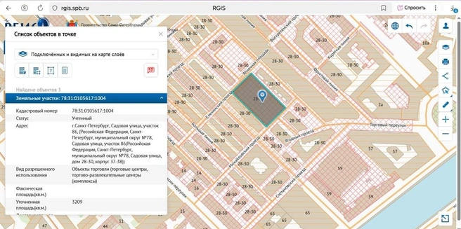 Источник: скрин РГИС