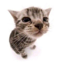 Аватарка Дарья