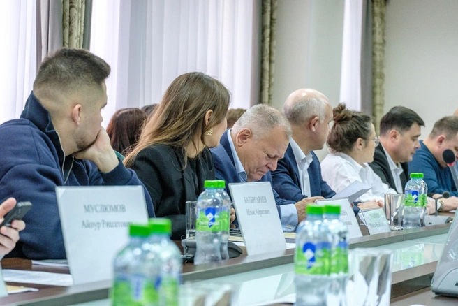 Результаты экспертизы предложили выложить в открытый доступ, чтобы любой желающий мог с ними ознакомиться | Источник: Булат Салихов