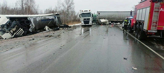 В результате аварии погиб водитель грузовика | Источник: Госавтоинспеция Новосибирской област