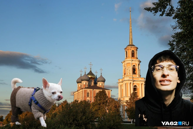 Разделили все мероприятия по ценовым категориям | Источник: Соцсети Bushido Zho, Артём Устюжанин / MSK1.RU