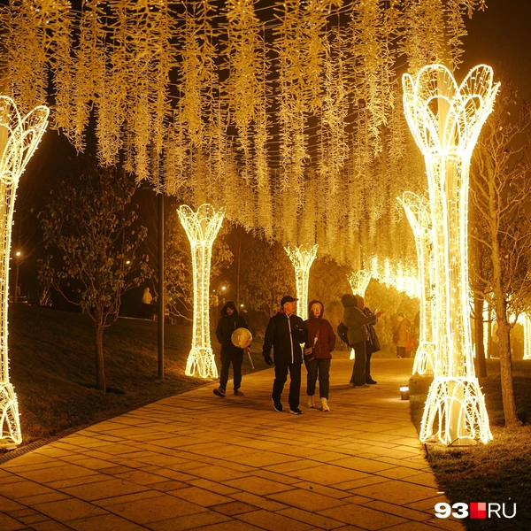 Источник: Дарья Паращенко / 93.RU