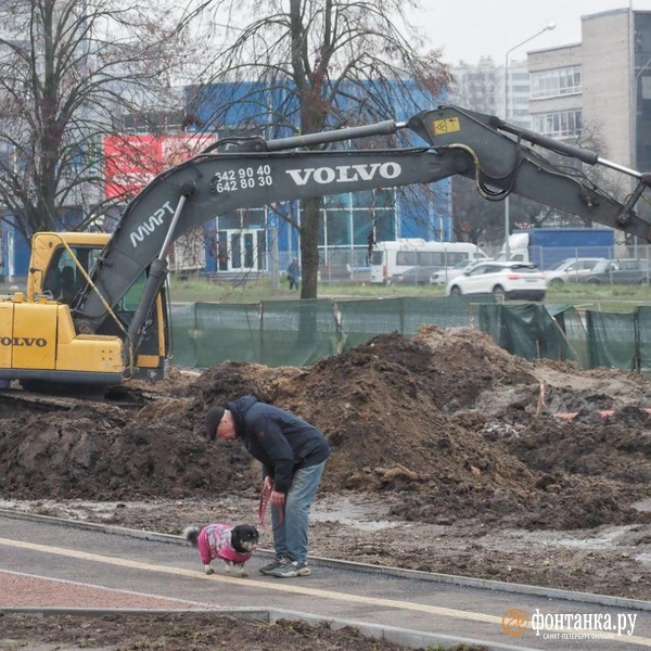 Источник: Михаил Огнев / «Фонтанка.ру»