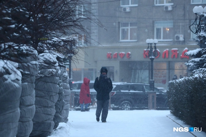 Мэр Новосибирска недоволен уборкой улиц: снег в городе шел два дня — хроника | Источник: Александр Ощепков 