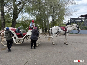 В Зауральной роще можно прокатиться в карете. Взрослый билет&nbsp;— 300 рублей. Детский&nbsp;— 200 рублей | Источник: Николай Сальников / 56.RU