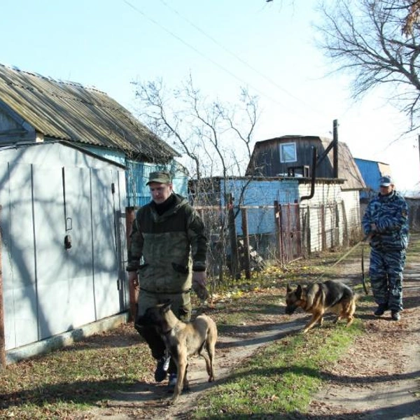 Фото сделано рядом с дачей, где пропал Антон | Источник: ГУ МВД России по Волгоградской области