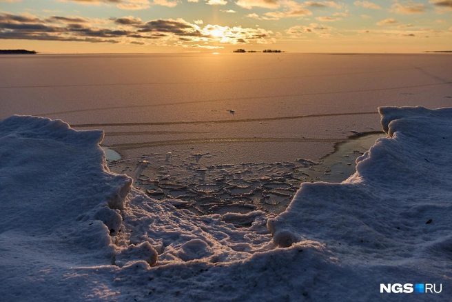 Источник: Александр Ощепков / NGS.RU