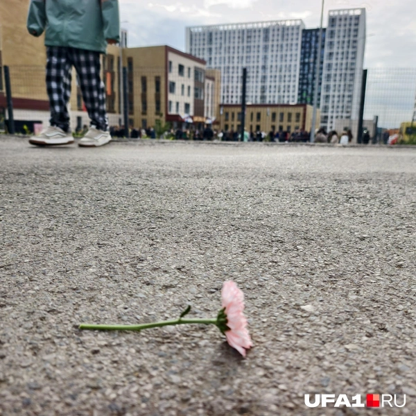 Источник: Булат Салихов / UFA1.RU
