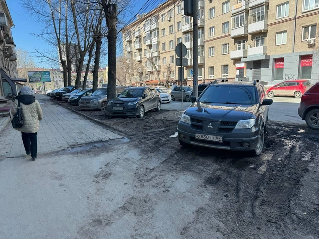 Не надо удивляться, откуда в городе грязные тротуары. Просто на них выезжают прямо с размокших газонов | Источник: читатель НГС