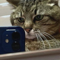 Аватарка Анна