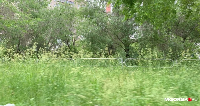 Это то, что сразу бросается в глаза | Источник: Полина Котышева / MGORSK.RU