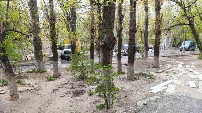 Горожане уверяют: вода уже максимально пропитала почву во дворе | Источник: читатели V1.RU