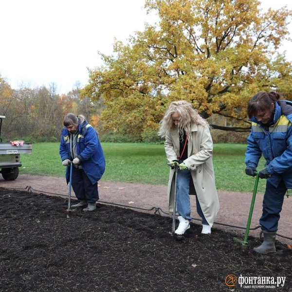 Источник: Сергей Михайличенко / «Фонтанка.ру»