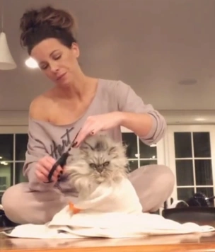 Видео с супертерпеливым котом Кейт Бекинсейл стало вирусным в «Твиттере»