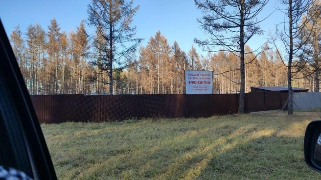Из материалов дела | Источник: прокуратура Красноярского края / t.me