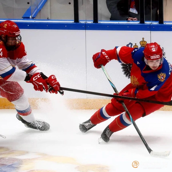 Источник: Дарья Драй / «Фонтанка.ру»