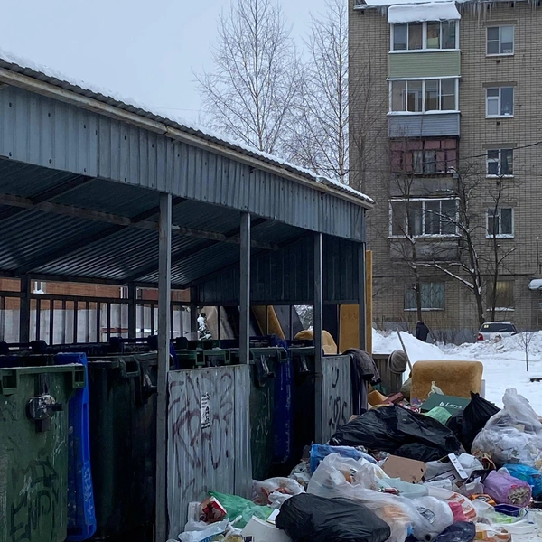 Мешки с мусором стоят около контейнеров | Источник: ярославна в комментариях телеграм-канала Михаила Евраева