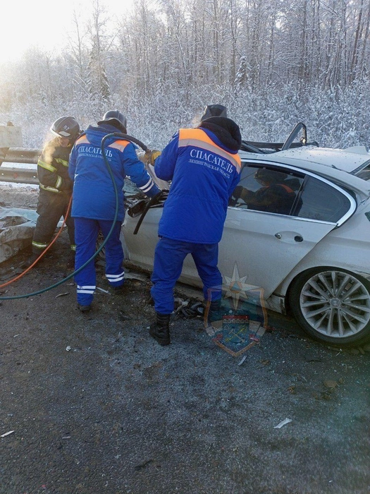 Источник: официальный канал Аварийно-спасательной службы Ленинградской области
