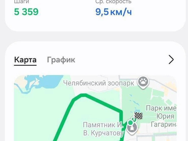Челябинский городской бор отлично подходил для пробежек. | Источник: читатель 74.RU