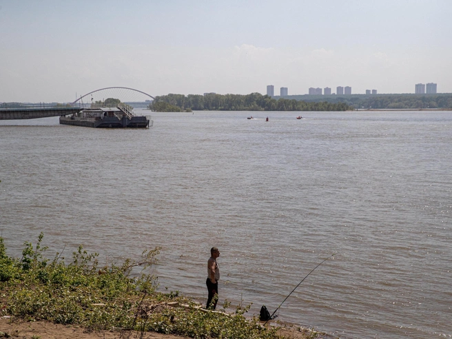 В Новосибирской области прогнозируется жаркая погода до +28 градусов | Источник: Александр Ощепков / NGS.RU