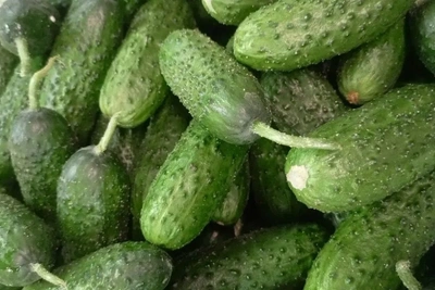 В Забайкалье в китайских овощах нашли опасного вредителя