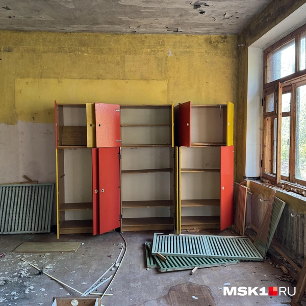 Источник: Алина Мельникова / MSK1.RU