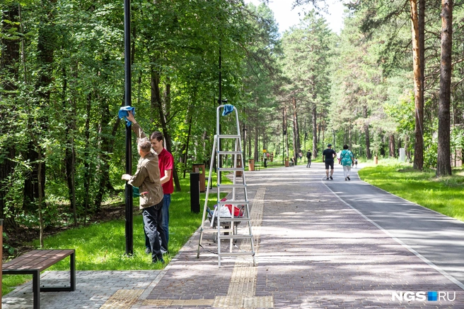 В парке еще устанавливают фонари | Источник: Александр Ощепков