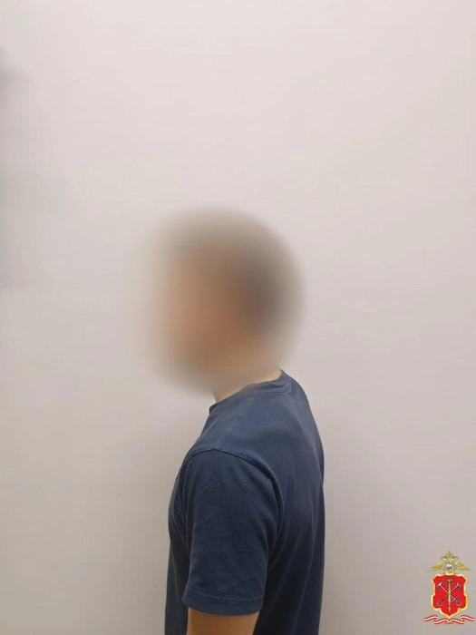 Источник: Официальный телеграмм-канал ГУ МВД России по Санкт-Петербургу и Ленинградской области