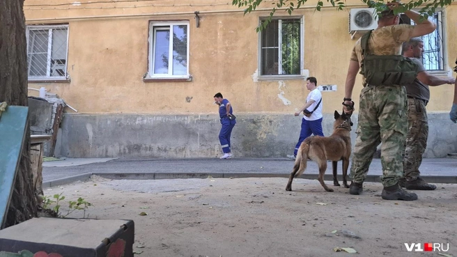 Реакция врачей лучше всего говорит о том ужасе, который царил в квартире | Источник: Крылов Тимофей / V1.RU
