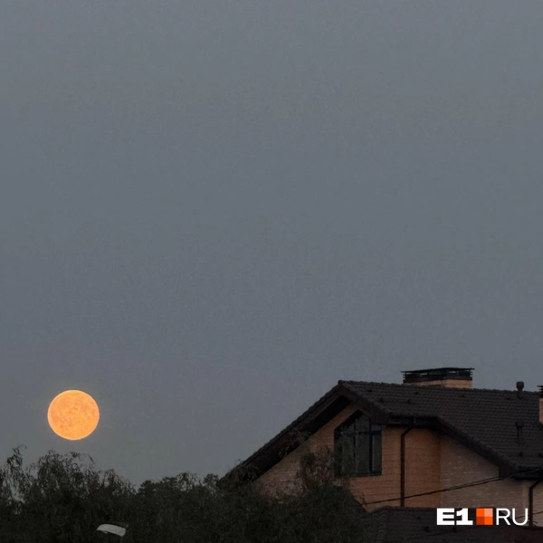 Источник: читатель E1.RU