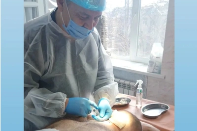 Астраханский хирург завершил работу в прифронтовой Кременной