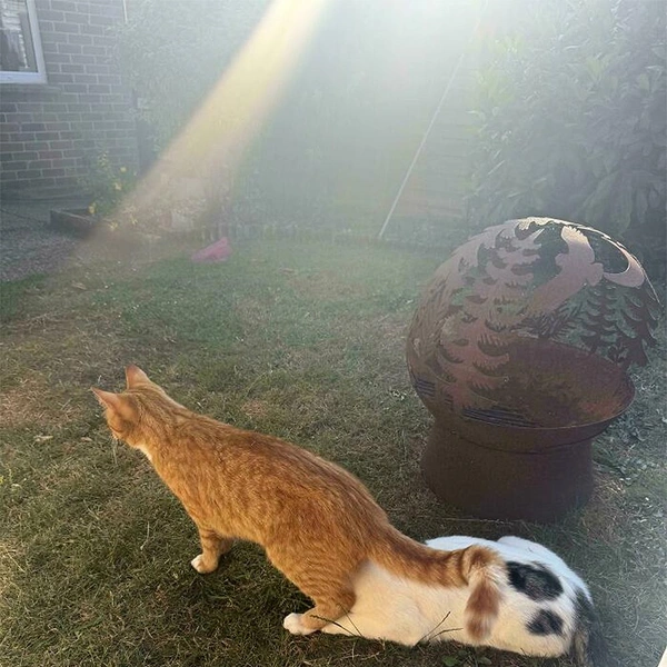 Источник: соцсеть