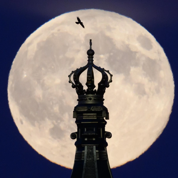 Германия, Дрезден | Источник: Robert Michael/picture alliance via Getty Images