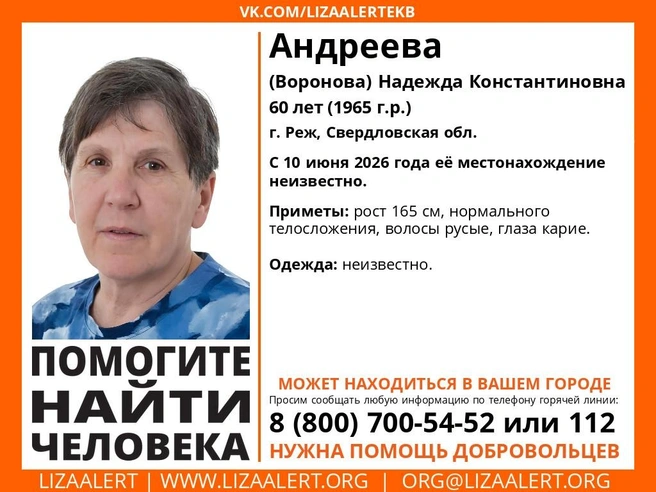 Источник: Поисковый отряд «ЛизаАлерт» Свердловской области