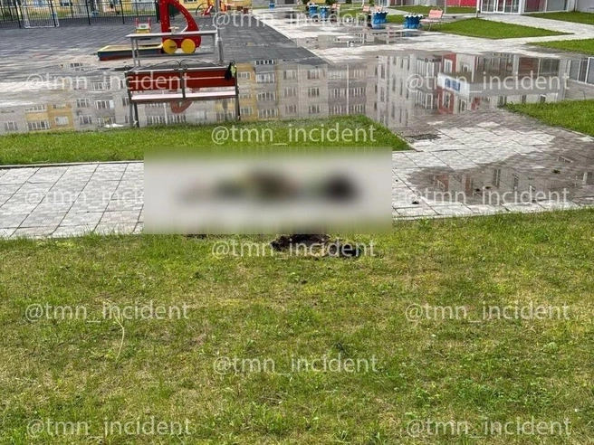 На месте работают правоохранительные органы | Источник: ЧС Тюмень / T.me