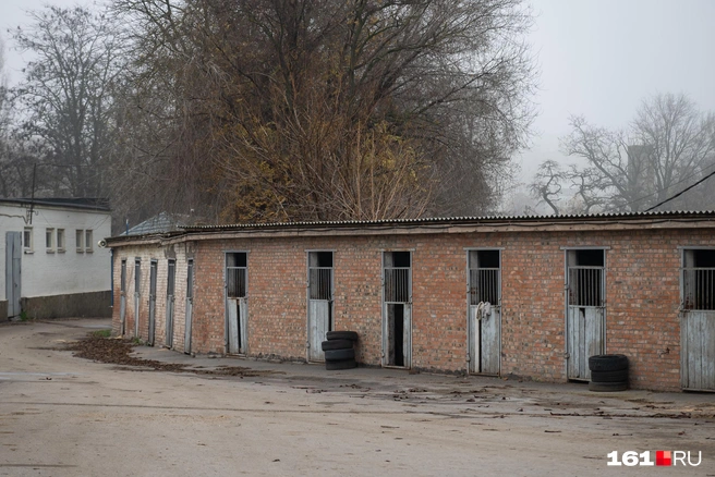 Летние денники | Источник: Евгений Вдовин / 161.RU