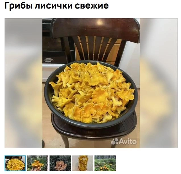 Источник: Авито / Avito.ru
