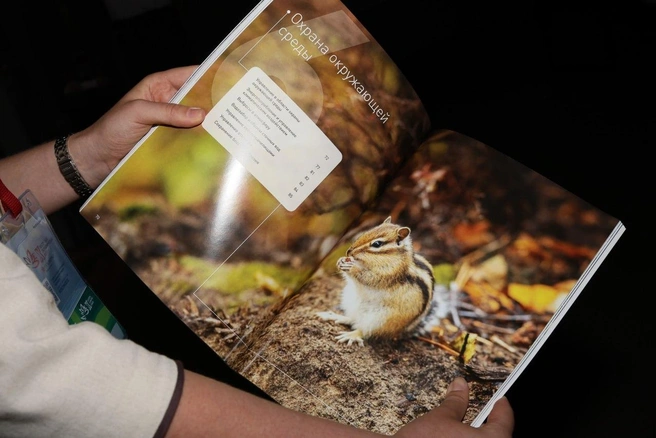 Отчетный документ имеет четкую структуру, большая часть статистических данных вынесены в приложение | Источник: ООО «Удоканская медь»