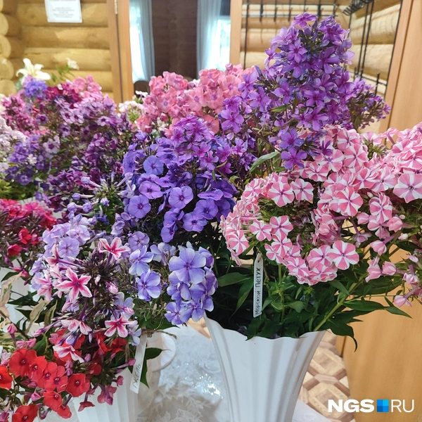 И, конечно, насладиться ароматом | Источник: Александра Бруня / NGS.RU