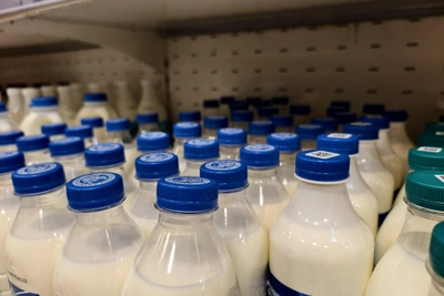 Почему молоковозов не видно, но молоко есть