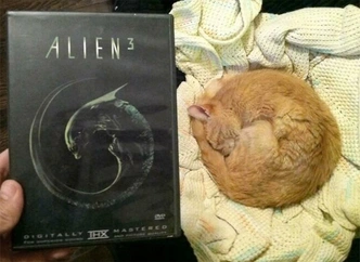 Источник: соцсети