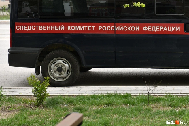 Девочка выпала из окна седьмого этажа | Источник: Артём Устюжанин / E1.RU