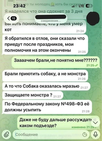 Даниил, очевидно, не ожидал такого исхода событий, ручаясь за питомца | Источник: читатели V1.RU