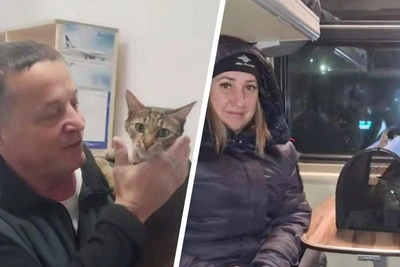 Кот Федос вернулся к хозяевам после путешествия на поезде